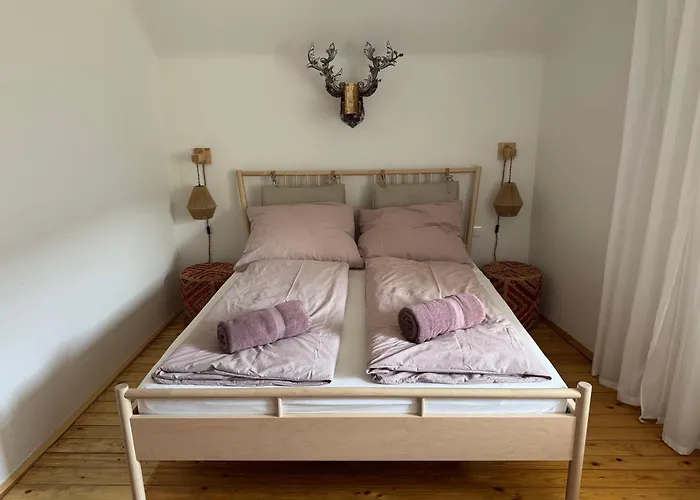 Dottore Casa